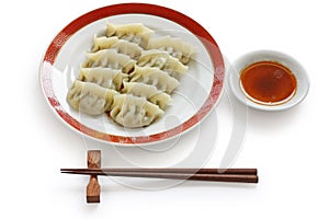 Pan fried chinese dumplings