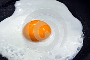 Pan Fried Egg with Yolk Sunny Side Up in a Pan.
