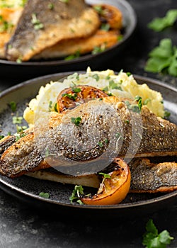 Pan fried sea bass fillets served with mashed potatoes and caramelised lemon