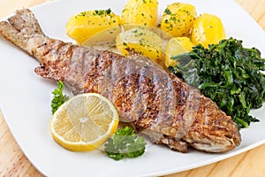 Pan Fried Trout