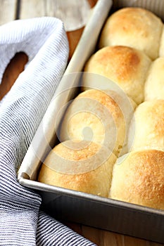 Homemade Dinner Rolls