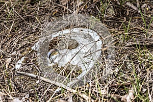 Pan lid covered with grass and twigs