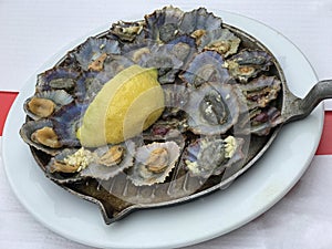 Limpets or Lapas Served with a Lemon Wedge in the Azores, Portugal photo