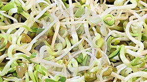 Pan macro shot of radish sprouts background. nutrition. bio. natural food ingredient