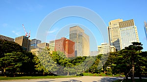 Pan of Office Buildings Surrounded by Trees in Central Tokyo Japan