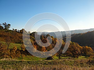 Pan over a forest in Romania