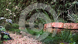 Pan over pebble path with wildflowers and rustic wooden garden door in cottage garden