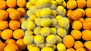 Pan of a pile of oranges and lemons on display in retail store
