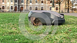 Pan right: Loan mower robot works in public park