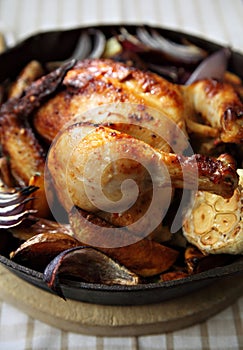 Pan roasted chicken