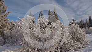 Pan scenic winter landscape