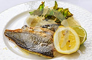 Pan seared branzino or sea bass with mashed potatoes and deep fried kale chips at an al fresco restaurant in Montenegro