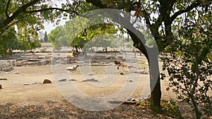 Pan shot of archaeology excavation site, search for ancient historical remains