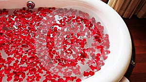 Pan shot of red rose petals in bathtub, Hotel Amar Villas, Agra, Uttar Pradesh, India