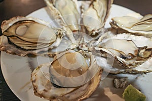 Pan-steaming oysters on a plate