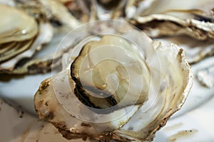Pan-steaming oysters on a plate