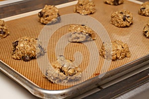 Pan of Uncooked Prepared Oatmeal Chocolate Chip Cookie