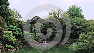 Pan video of Tokyo Metropolitan Park KyuFurukawa`s japanese garden`s Yukimi stone lantern overlooking Shinji pond in summer