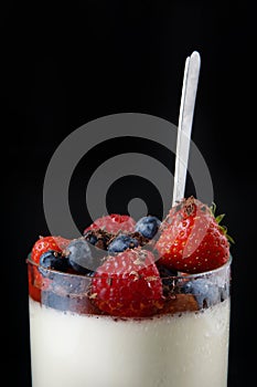 Panakota creamy Italian dessert in a glass cup with berries and chocolate chips on top