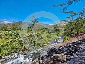 Panama, Boquete, Caldera creek flows in the jungle