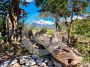 Panama, Boquete, felled trunk with panoramic view of the mountains