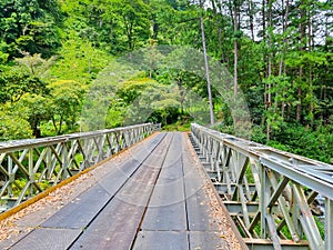 Panama, Boquete, iron bridge in the jungle