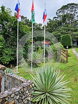 Panama, Boquete, three flags in the tropical garden