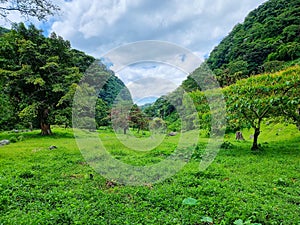 Panama, Boquete, tropical vegetation among the volcanic hills