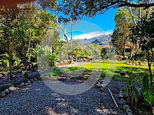 Panama, Boquete, view of volcanic hills from a tropical garden