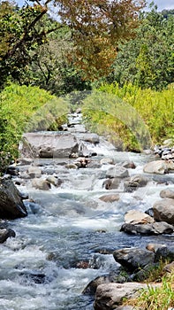 Panama, Chiriqui province, Caldera creek in summer