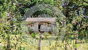 Panama, Chiriqui province, old abandoned wooden house