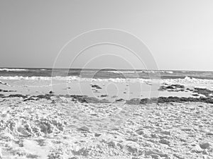 Panama City Beach, FL Beach - Ocean Waves Crashing on White Sand Beach Shoreline In Black and White