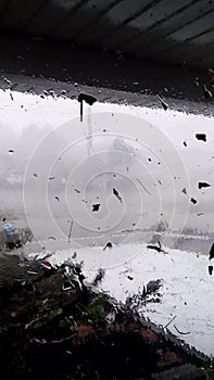 Panama City Beach Hurricane Michael home storm winds torrential