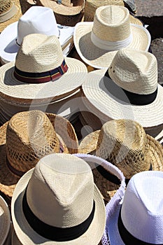 Panama hats