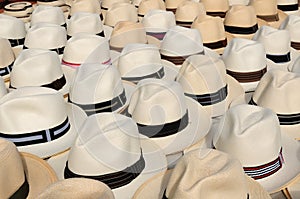 Panama Hats