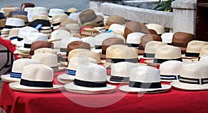 Panama hats