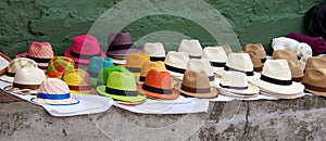 Panama hats