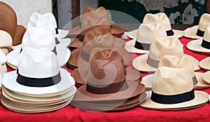 Panama hats