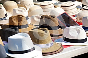 Panama hats