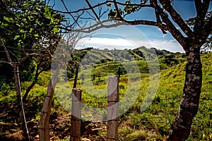 Panama mountainous region Reserva forestal de Fortuna near the town of Punta Pena photo