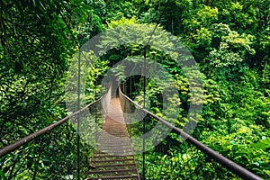 Panama Rainforest. Old hanging bridge in the jungle of Panama, Central America.