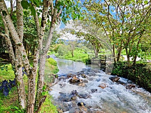 Panama, small creek in Boquete town, in summer