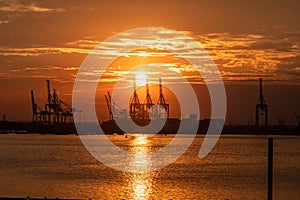 Panamax Shipping cranes at sunset in Southampton, England photo