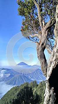 Pananjakan Bromo in One Corner