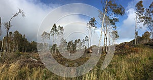 Panarama of highlands of Scotland photo