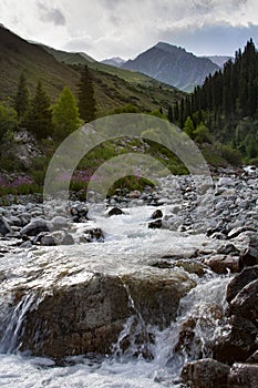 Panarama of mountain river valley photo