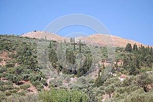 panaroma of forest in the mountains against the sky