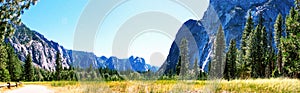 Panaroma Yosemite Meadows