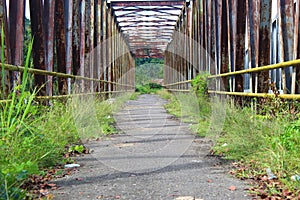 Pancakarsa one village crossing bridge to Pancasila two