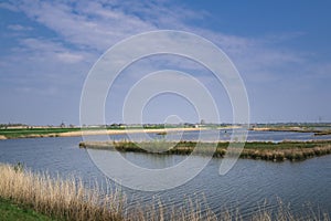 `Pancake Country`: Typical flat Dutch Landscape of green Meadows, Ditches, blue Sky with white Clouds reflecting in the water